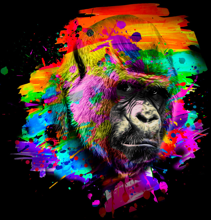 Colourful gorilla image
